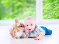 Baby and bunny