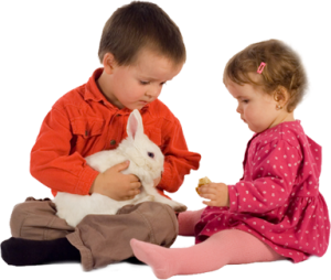 toddler classes