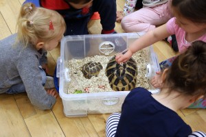 Animal Parties Glasgow